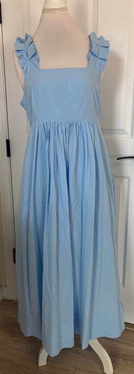 LAKE Dresses & Skirts - Lake Lolly Dress in Morning Blue Swiss Dot Size Large Midi length